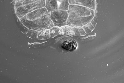 Close-up of water