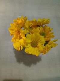 Close-up of yellow flowers in vase