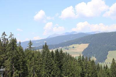 Panoramic view of trees and mountains against sky