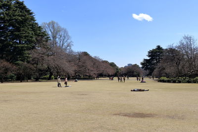 Group of people in the park