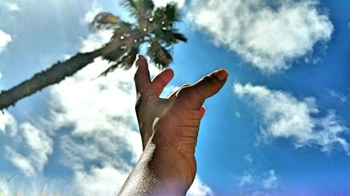 Low angle view of cropped tree against sky