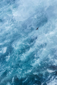 High angle view of bird flying over sea