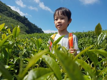Boy standing at tea plantation against blue sky