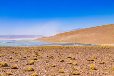 Scenic view of desert against sky