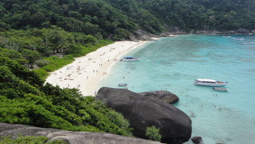 High angle view of sea by trees