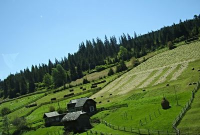 Scenic view of landscape against clear sky