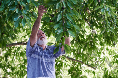 Low angle view of man standing on tree