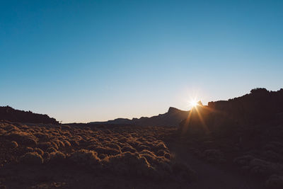 Scenic view of landscape against clear sky during sunset