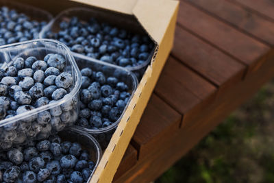 Box or container with collected blueberries. berries agriculture business. cultivating, harvesting