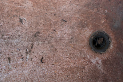 soil