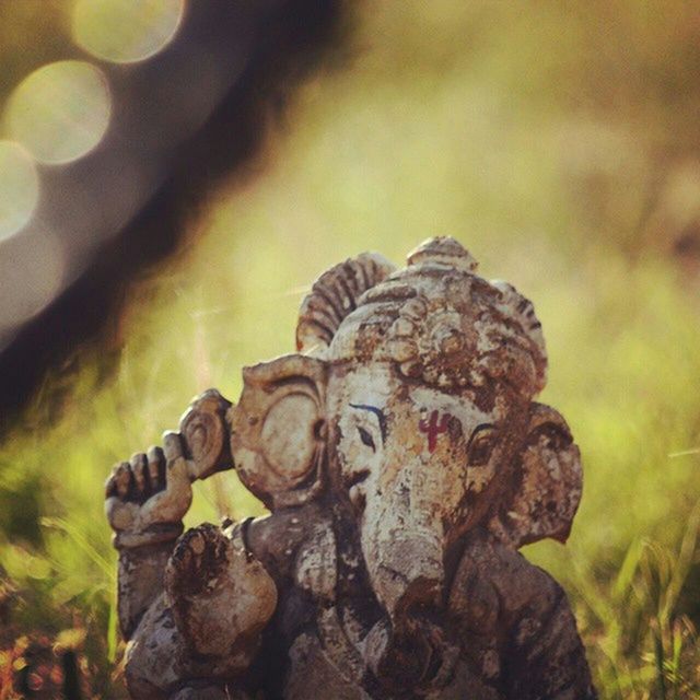 close-up, focus on foreground, selective focus, nature, outdoors, fungus, forest, day, no people, mushroom, tree stump, textured, natural pattern, rock - object, art and craft, moss, field, leaf, art, creativity