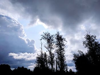 Low angle view of silhouette trees against sky