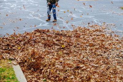 Low section of man blowing autumn leaves on road