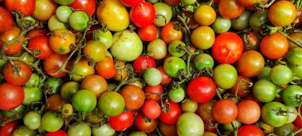 Full frame shot of fruits for sale in market