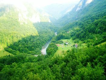 High angle view of green landscape against sky