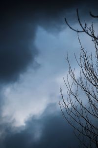 Low angle view of silhouette bare tree against sky