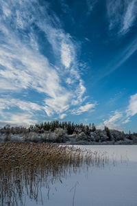 View over frozen lake kulsø, near bryrup, jutland