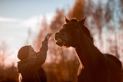 Side view of mid adult woman stroking horse while standing against sky in barn during sunset