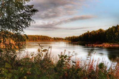 Scenic view of lake in forest against sky