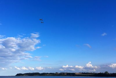 Low angle view of airplane flying in sky