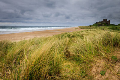 Scenic view of beach against sky