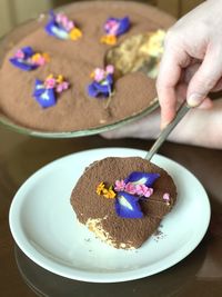 Close-up of hand holding ice cream in plate