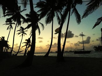 Silhouette palm trees on beach against sky during sunset