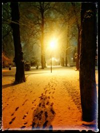 Trees on snow covered landscape at sunset