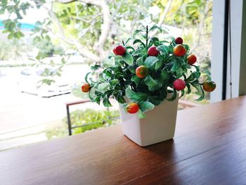 Close-up of potted plant on table by window