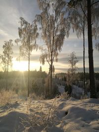 Scenic view of snow field against sky during sunset