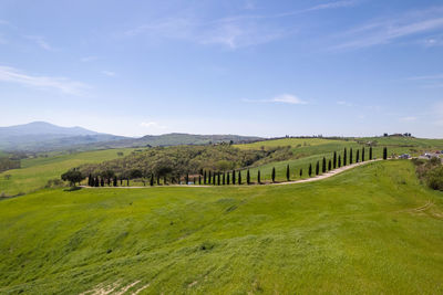 Scenic view of landscape against sky