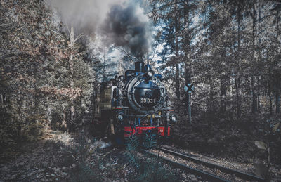 Train on railroad track amidst trees