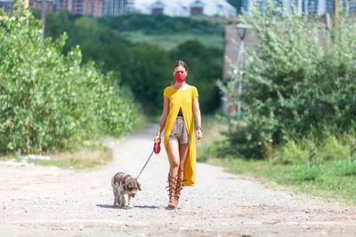 Full length of a dog on the beach