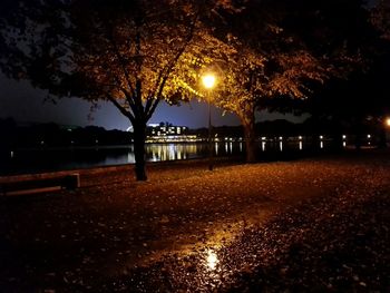 Reflection of illuminated trees in water at night