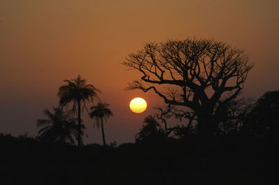 Low angle view of silhouette tree against orange sky