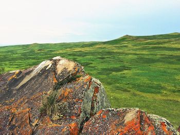 Scenic view of landscape against sky