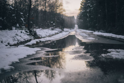 Wet empty road in forest during winter