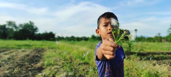 Found a grass flower in the field one morning