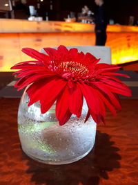 Close-up of red flower on table