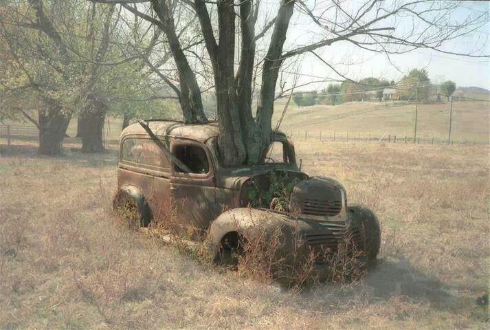 tree, land vehicle, transportation, field, mode of transport, grass, abandoned, landscape, bare tree, rural scene, damaged, obsolete, car, nature, outdoors, old, day, stationary, run-down, sky