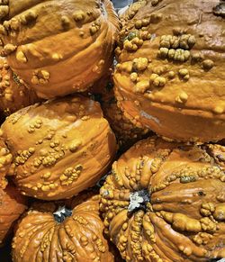 Full frame shot of pumpkins