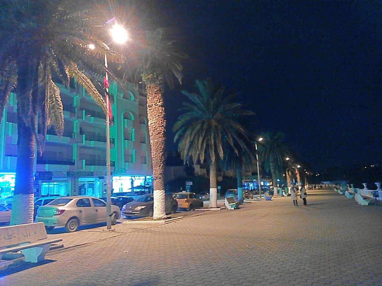 illuminated, night, palm tree, city, tree, architecture, no people, sky, outdoors, fame, midnight