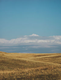 Scenic view of field against blue sky