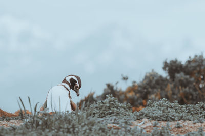 Side view of person on rock against sky