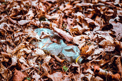 High angle view of dry leaves on field