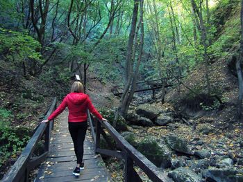 Rear view of woman walking on footbridge in forest