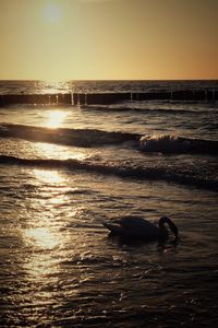 Scenic view of sea against sky at sunset