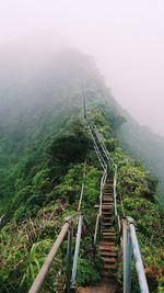 Steps leading towards mountain during foggy weather