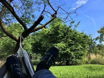 Low section of man on tree against sky