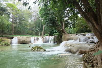 Scenic view of waterfall in forest